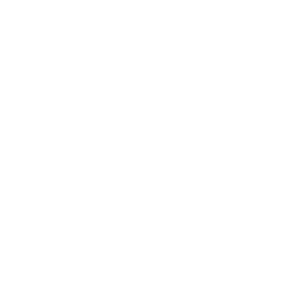 SOCIAL MEDIA MANAGEMENT